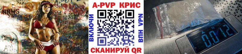 A PVP СК КРИС  Орлов 