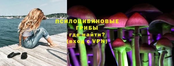 хмурый Алексеевка
