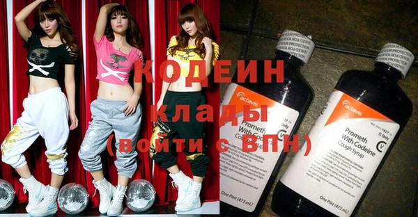 сатива Няндома