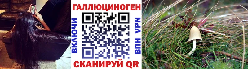 Псилоцибиновые грибы MAGIC MUSHROOMS  Орлов 